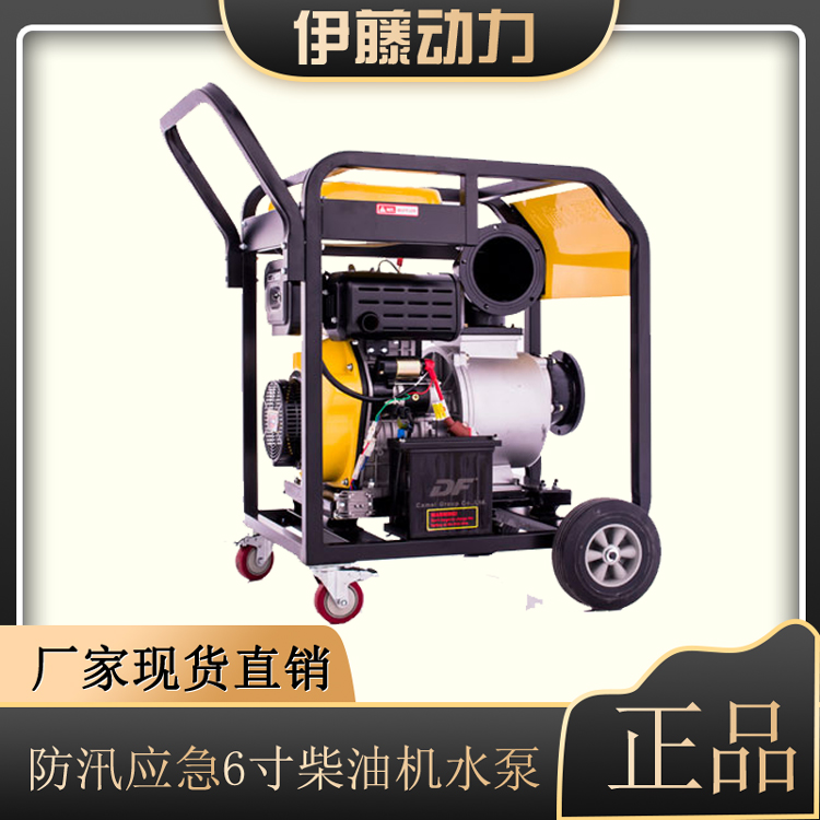 伊藤動(dòng)力BQ200-20-HP13定制6寸移動(dòng)式柴油水泵升級(jí)版