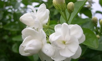 親子游 與孩子共赴超自然之境，探尋成長與教育的新維度